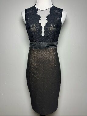 Theia Black Gold Lace Illusion Sheath Cocktail Dress Size 6